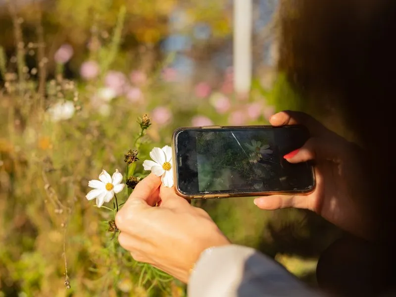 Kurz fotografování mobilem