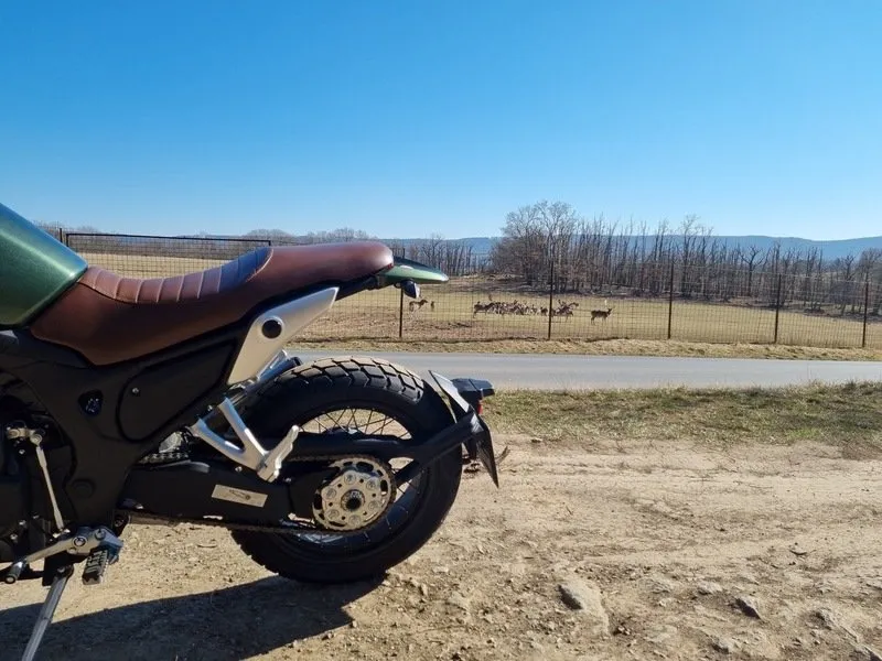 Pronájem motocyklu JAWA