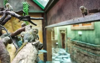 Wellness pobyt pro dva s nekonečnou zábavou: Babylon Liberec