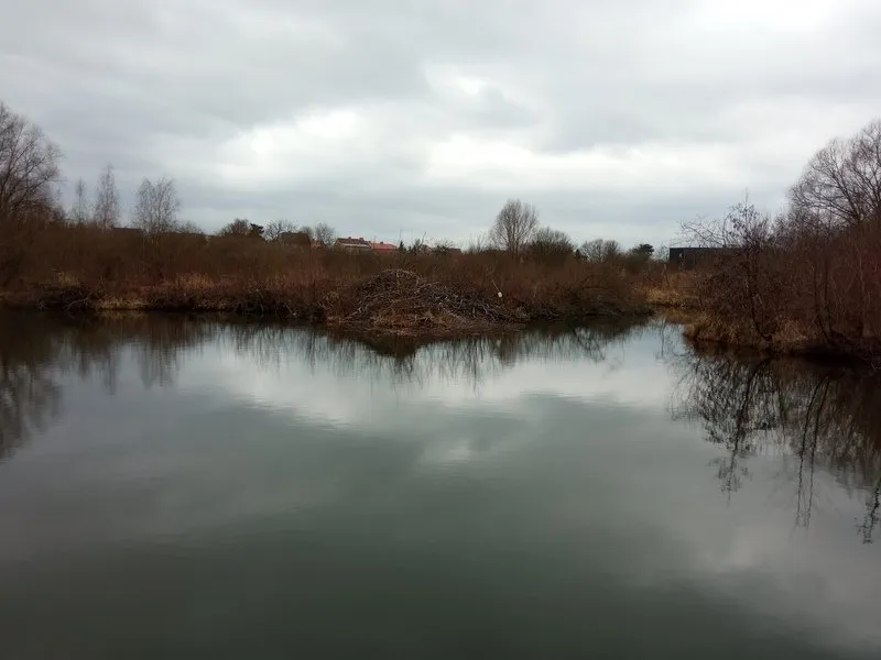 Venkovní úniková hra - Zkáza planety země