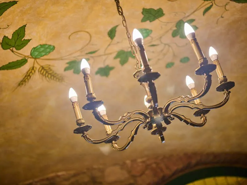 Pivní lázně v Plzni