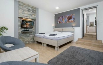 Skandinávské přírodní wellness s ubytováním*** v EKOParku Liberec