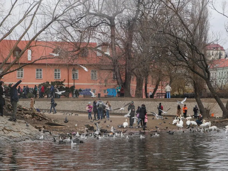 Plavba na lodi pražskými Benátkami