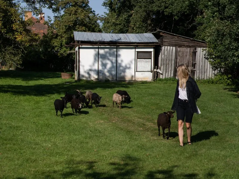 Ubytování: Tiny house s vlastní saunou