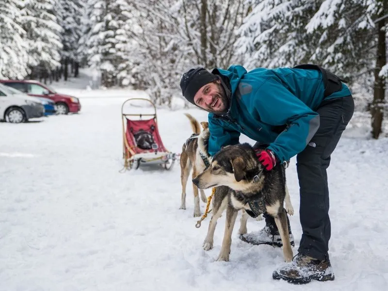 Mushing - jízda se psím spřežením