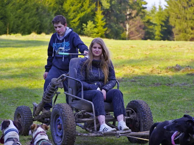 Mushing - jízda se psím spřežením