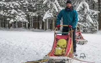 Mushing - jízda se psím spřežením
