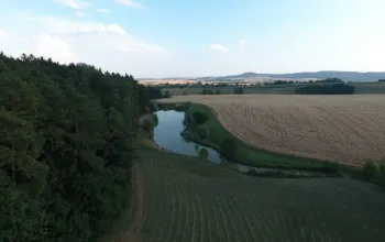 Pronájem soukromého rybníka až pro 8 rybářů | zážitkový dárek