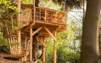 Ubytování v treehousu se saunou a výhledem na Ještěd – dárek a zážitek