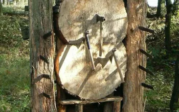 Vrhání nožů
