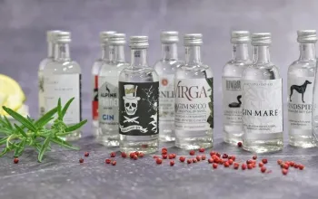 Degustační box ginů z celého světa: 10 vzorků
