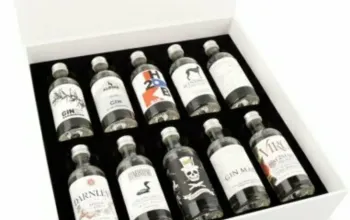 Degustační box ginů z celého světa: 10 vzorků