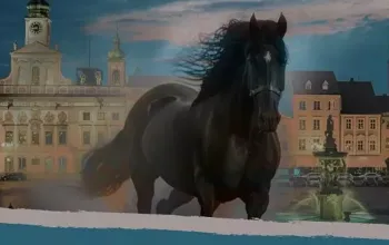 Záhada budějovických hradeb: Venkovní úniková hra Záhada budějovických hradeb: Venkovní úniková hra – dárek a zážitek