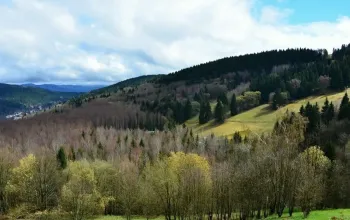 Wellness Hotel Hasištejn: Cyklo/běžkařský pobyt pro 2