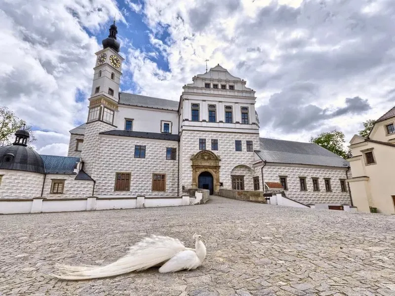 Venkovní únikové hry v českých městech