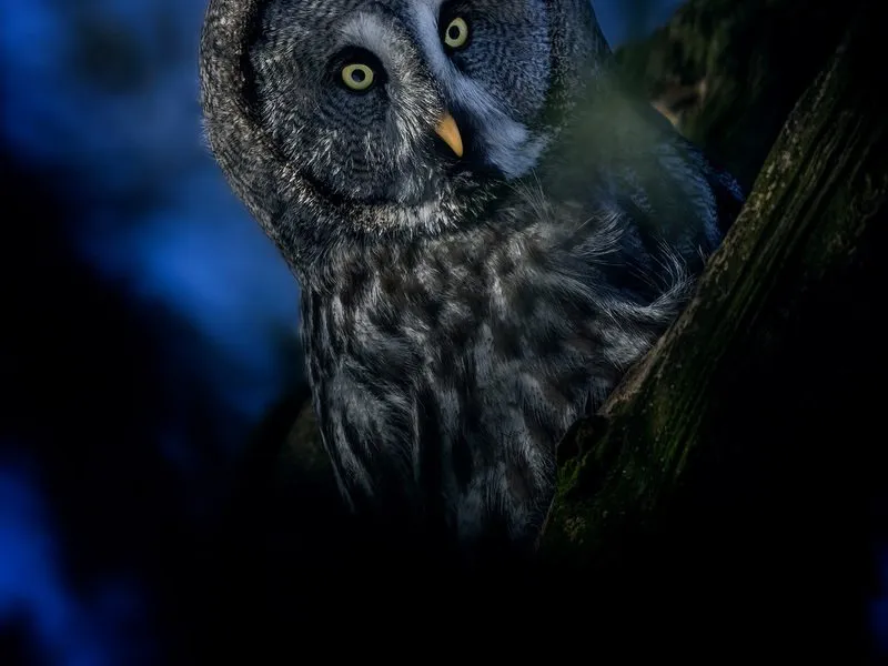 Kurz fotografování zvířat v zoo