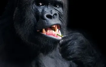 Kurz fotografování zvířat v zoo