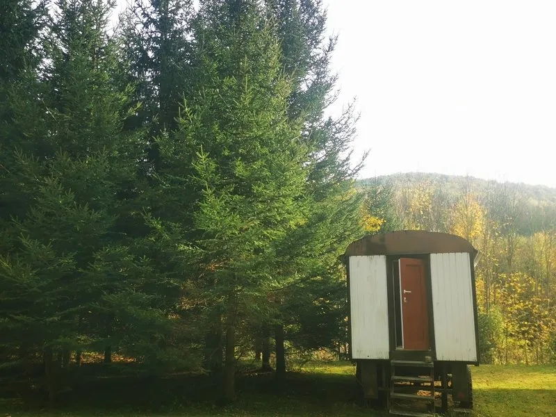 Terapie tmou: Pobyt ve tmě na jižní Moravě