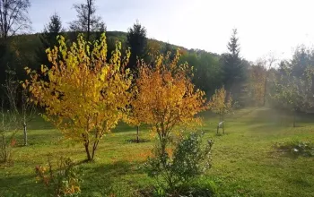 Terapie tmou: Pobyt ve tmě na jižní Moravě