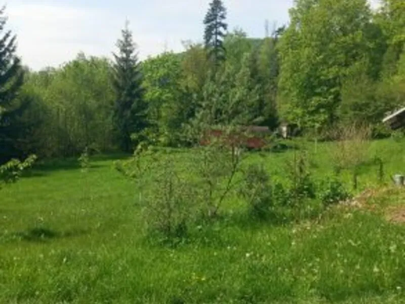Terapie tmou: Pobyt ve tmě na jižní Moravě