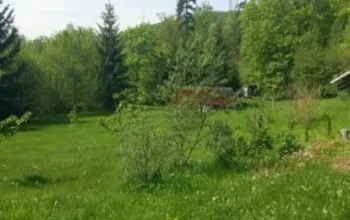 Terapie tmou: Pobyt ve tmě na jižní Moravě
