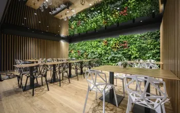 5chodové menu v restauraci Amande