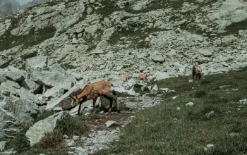 Výstup na Gerlachovský štít