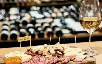 Degustace vín s občerstvením + dárkový set vína a sýrů – dárek a zážitek