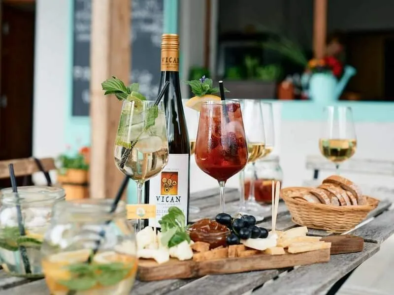 Degustace vín s občerstvením + dárkový set vína a sýrů