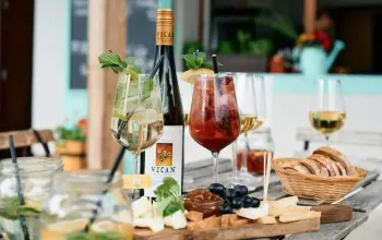 Degustace vín s občerstvením + dárkový set vína a sýrů