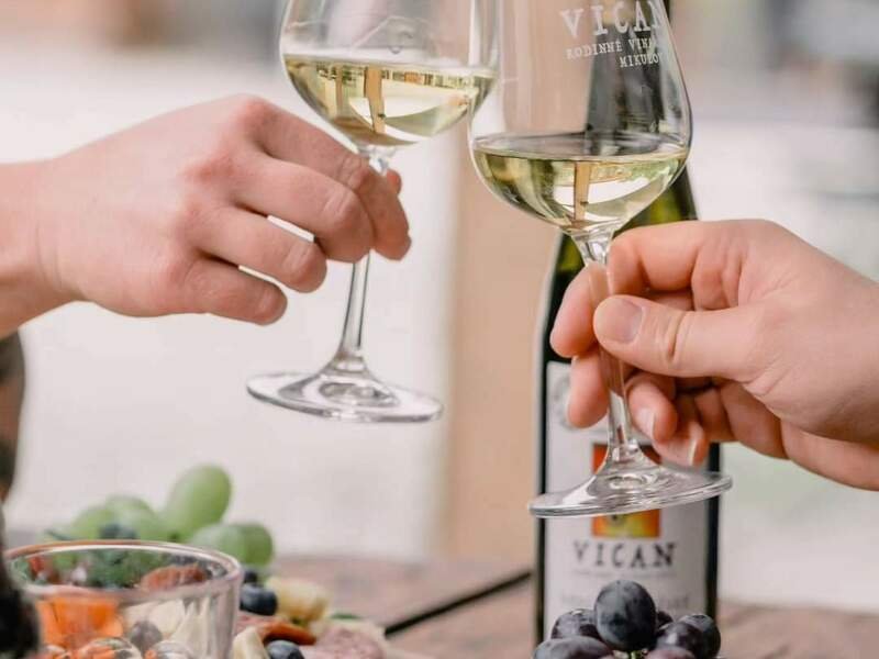 Degustace vín s občerstvením + dárkový set vína a sýrů