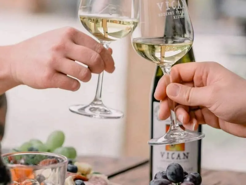Degustace vín s občerstvením + dárkový set vína a sýrů