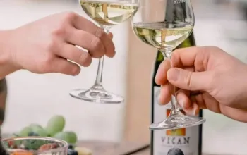 Degustace vín s občerstvením + dárkový set vína a sýrů