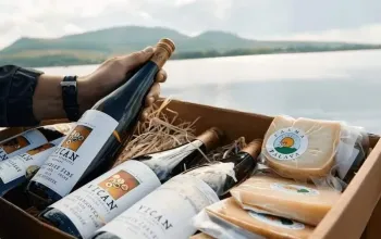 Degustace vín s občerstvením + dárkový set vína a sýrů