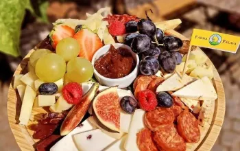 Degustace vín s občerstvením + dárkový set vína a sýrů