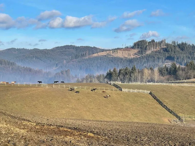 Relaxační víkend na statku na Slovensku