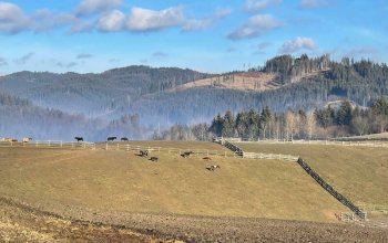 Relaxační víkend na statku na Slovensku