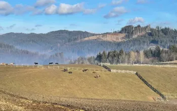 Relaxační víkend na statku na Slovensku