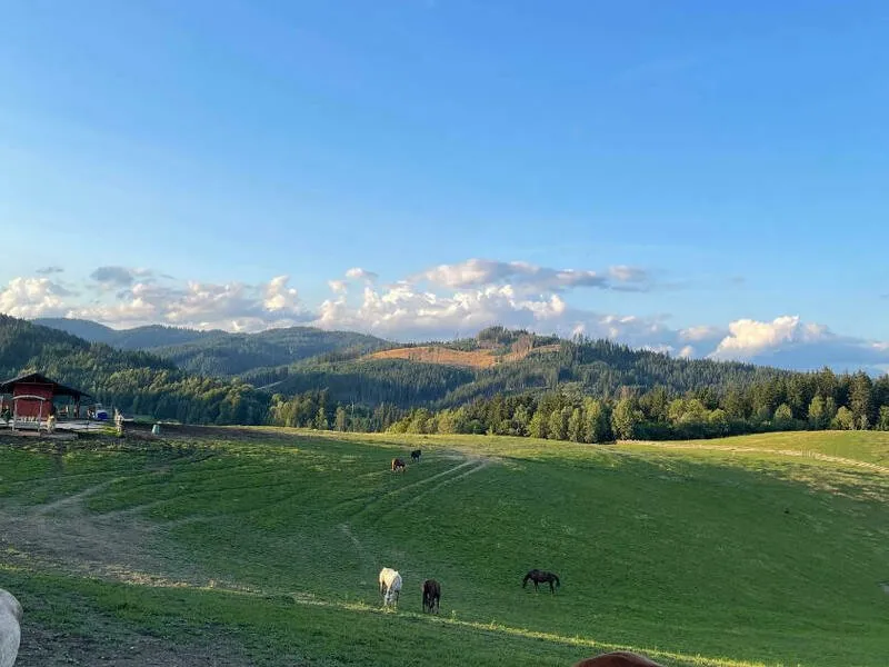 Relaxační víkend na statku na Slovensku