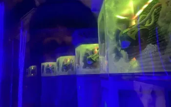 Galactic Pioneers: Sci-fi úniková hra v Praze