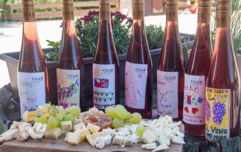 Degustace sýrů a vína na farmě s výrobou korbáčků