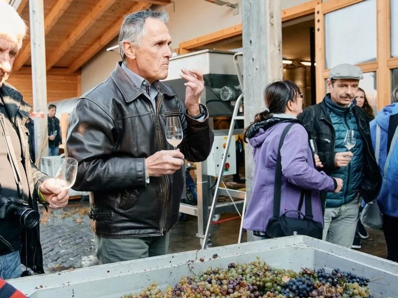 Degustace sýrů a vína na farmě s výrobou korbáčků