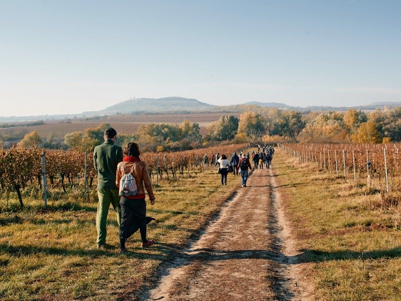 Degustace sýrů a vína na farmě s výrobou korbáčků