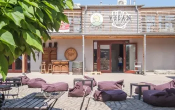 Na den vinařem: Od degustace vína po výrobu korbáčků