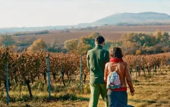 Na den vinařem: Od degustace vína po výrobu korbáčků