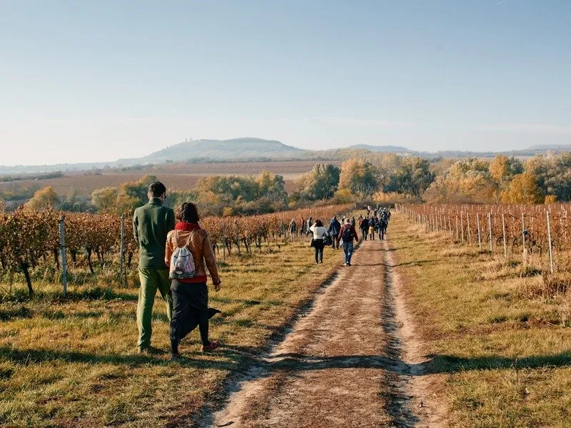 Na den vinařem: Od degustace vína po výrobu korbáčků