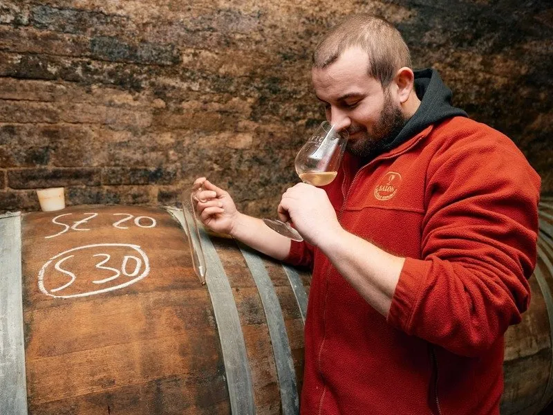 Na den vinařem: Od degustace vína po výrobu korbáčků