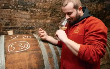 Na den vinařem: Od degustace vína po výrobu korbáčků