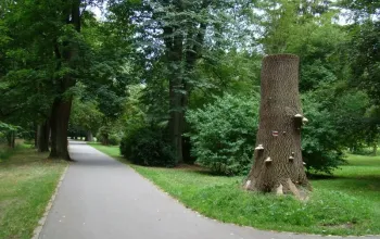 Klíč do neznáma: Venkovní úniková hra
