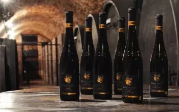 Prohlídka Habánských sklepů a vinařství s degustací a dárkem